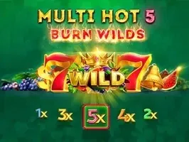 มัลติ ฮอต 5 เบิร์น ไวลด์ส game icon